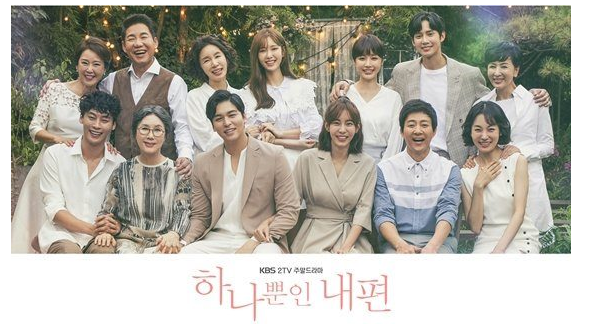 韓国ドラマ たった一人の私の味方 | 最高視聴率49.4%